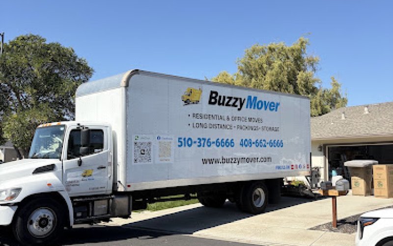 Buzzy Mover