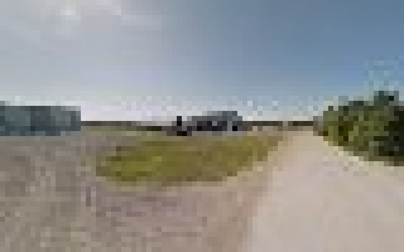 Carri Scharf Trucking Inc