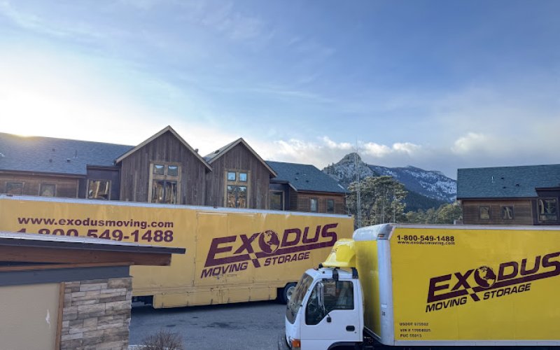 Exodus Moving & Storage