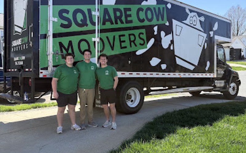 Square Cow Movers