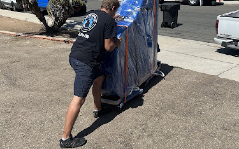 Blue Dog Moving