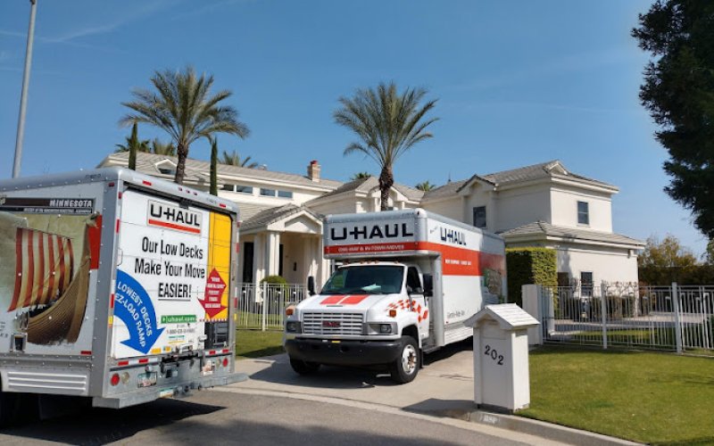 Mindful Movers