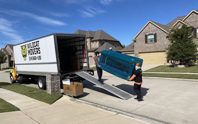 Wildcat Movers - Dallas — Moving service in Dallas