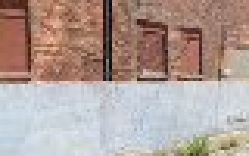 Dittrich & Gripp Movers LLC