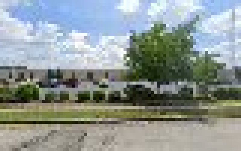 Avail Move Management