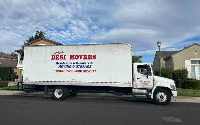 Desi Movers