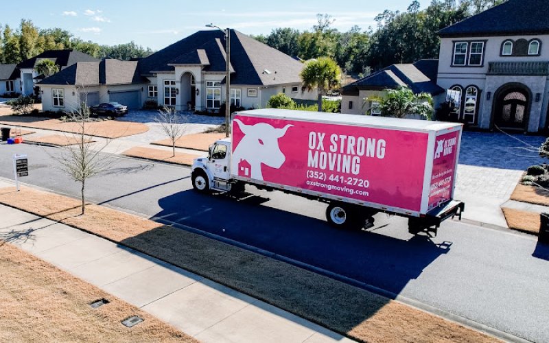 Ox Strong Moving