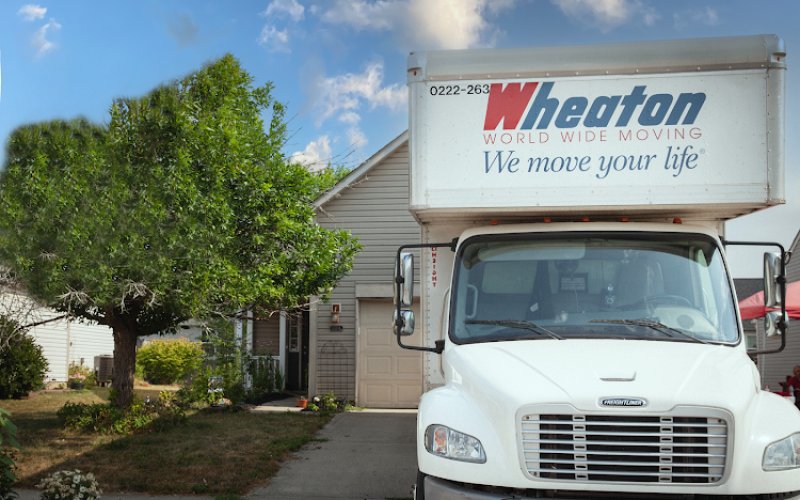 Daly Movers