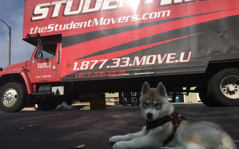 The Student Movers