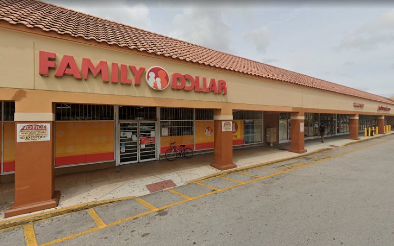 Miami Gardens tiny pinga — Logistics service in Miami