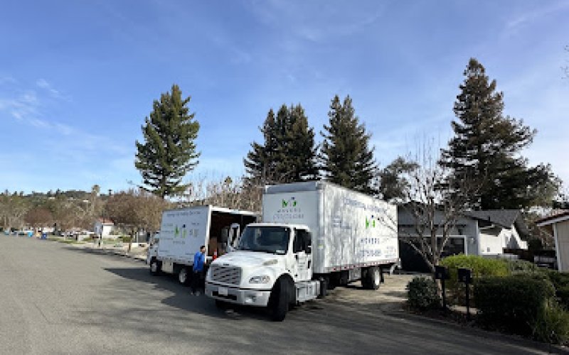 Mg movers
