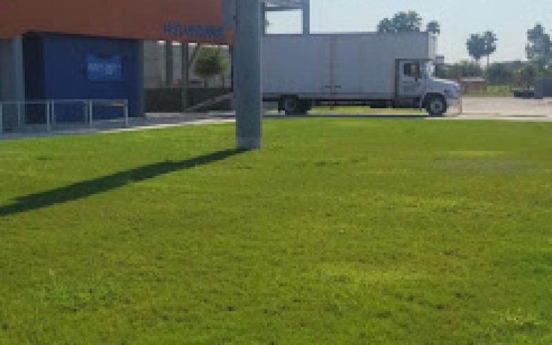Lui Lui Moving Company