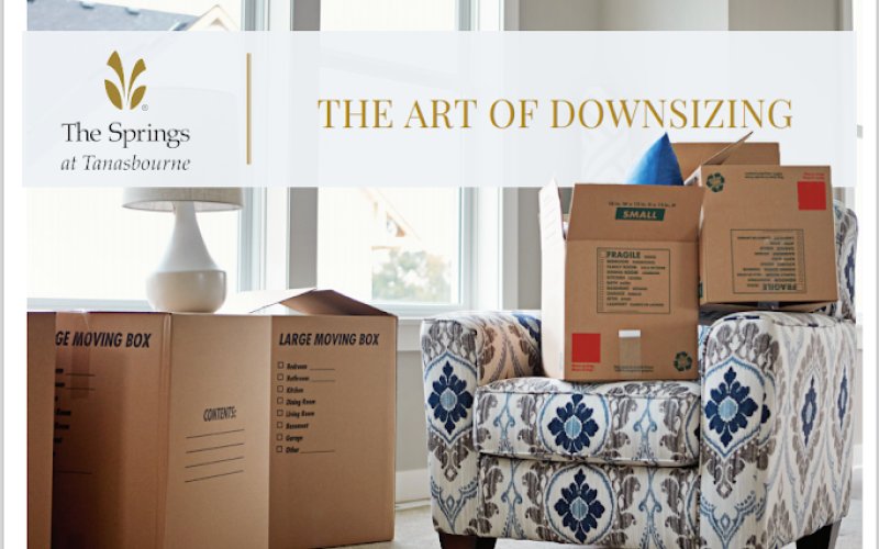 Soft Landings, Solutions for Seniors, LLC — Moving service in Portland