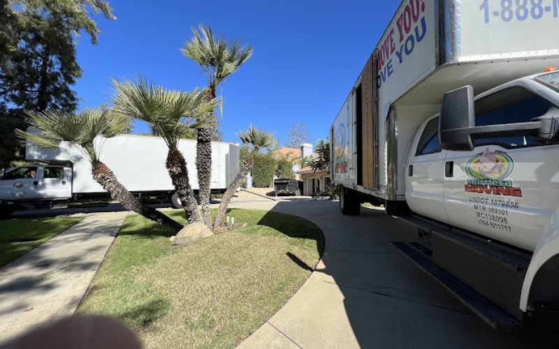 Patricks Moving
