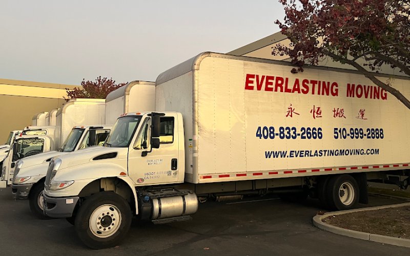 Everlasting Moving