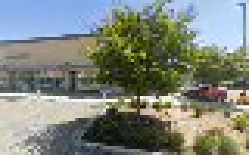 Move Torrance Mover's