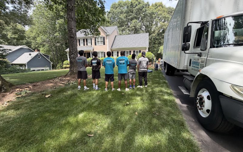 All In Movers