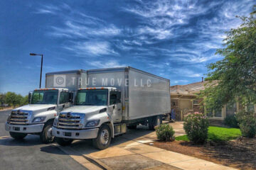 True Move Movers